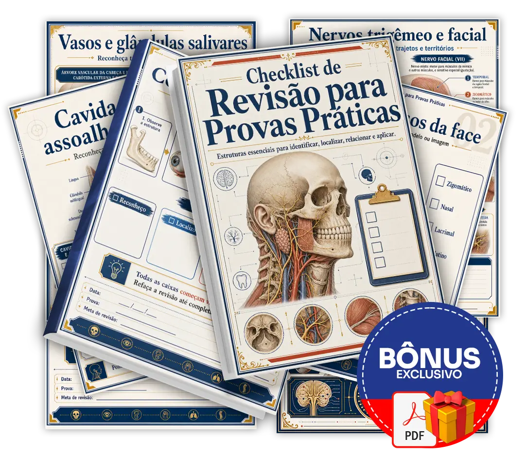 Mockup do bônus 3