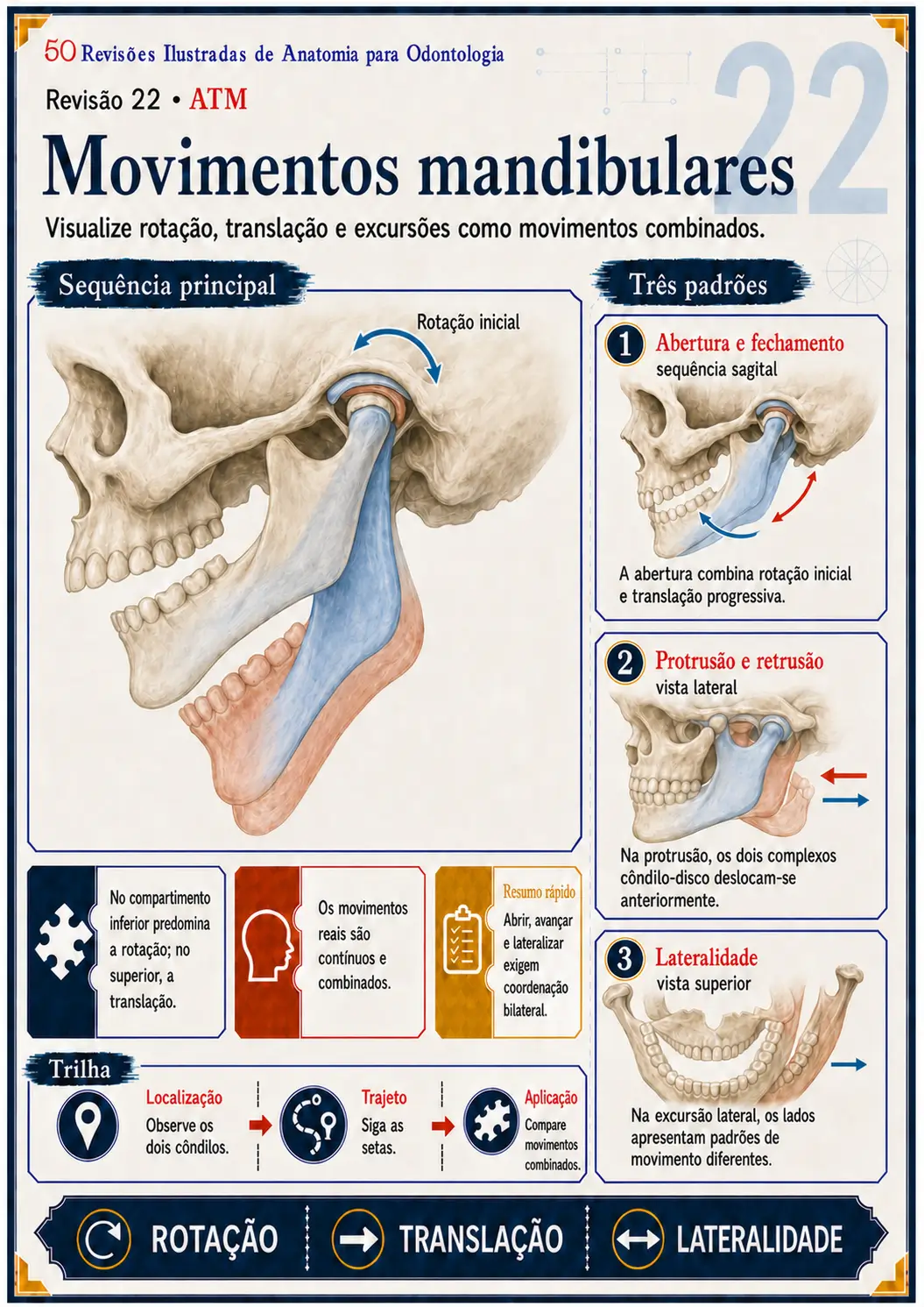 Prévia: Movimentos mandibulares